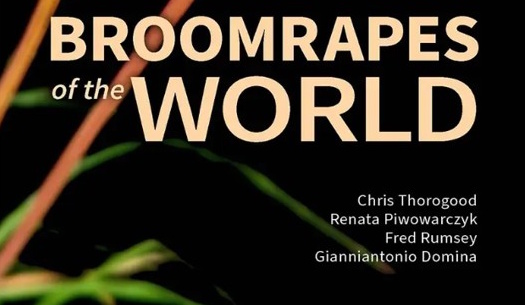 broomrapes of the world